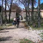 Lazzarini Battiala