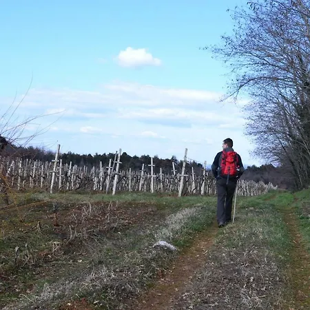 拉扎里尼巴蒂拉公寓 公寓 *