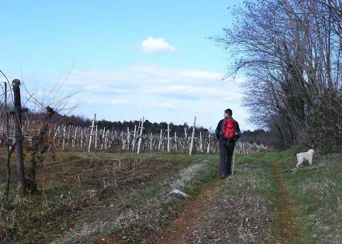 Lazzarini Battiala דירה *